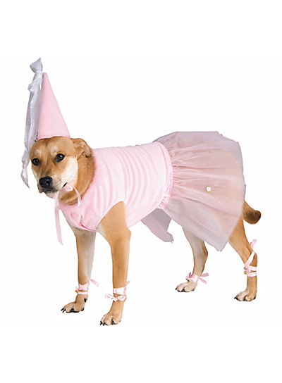 Top Pet Costumes
